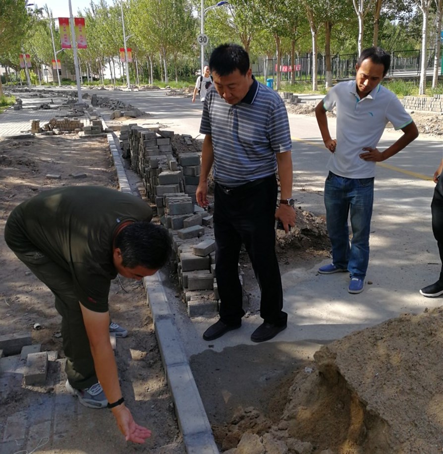 1535614471776087753.jpg 杨大刚现场论证路牙石维修方案_副本_副本.jpg